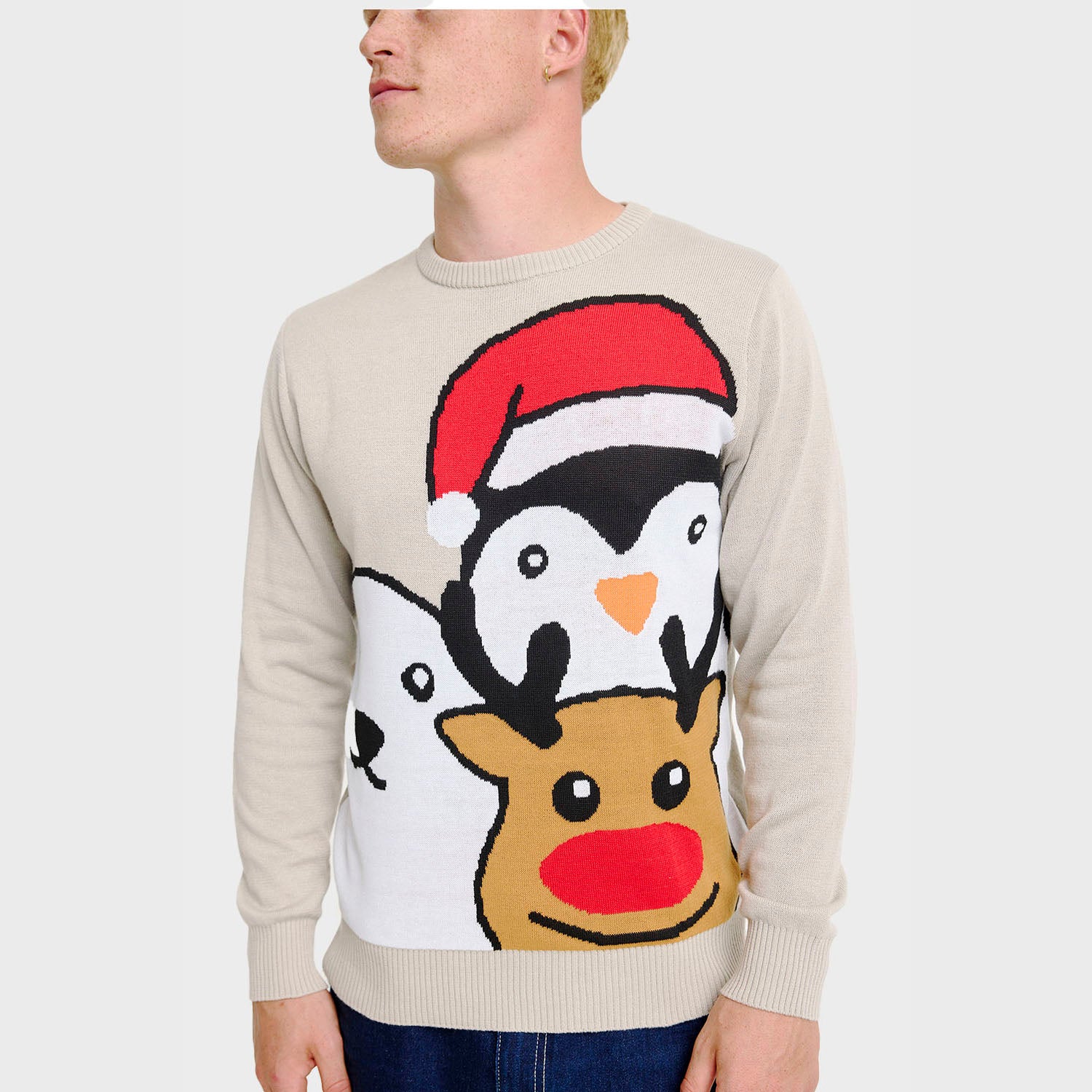 Dyrejulesweater - Herre