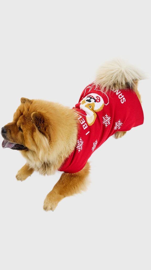 Santa paws hunde julesweater