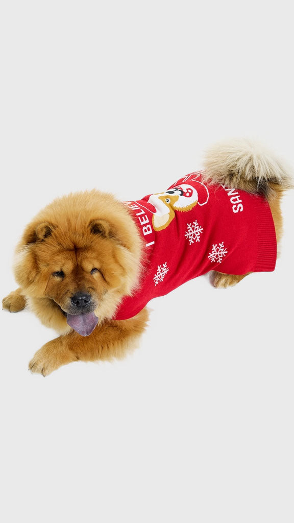 Santa paws hunde julesweater