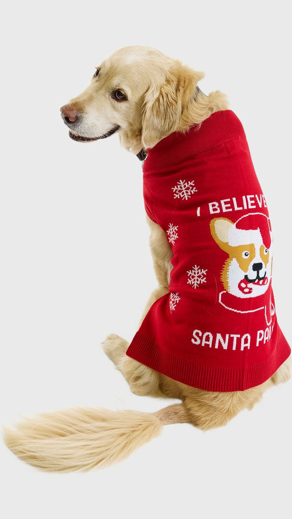 Santa paws hunde julesweater