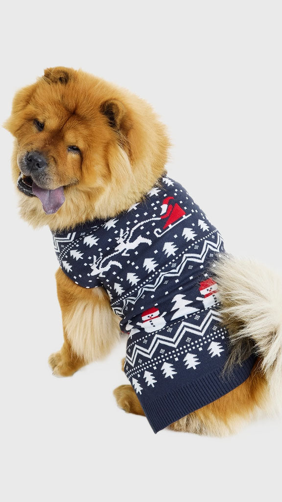 Den stilede hundejulesweater