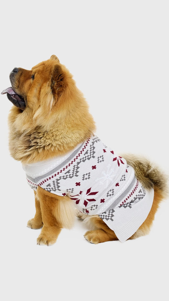 Den fancy hundejulesweater