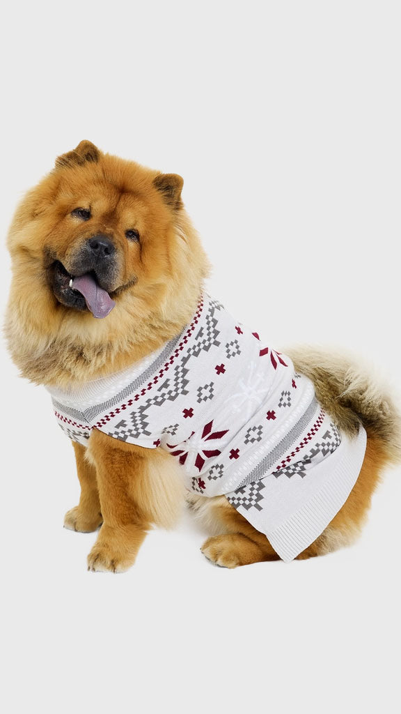 Den fancy hundejulesweater