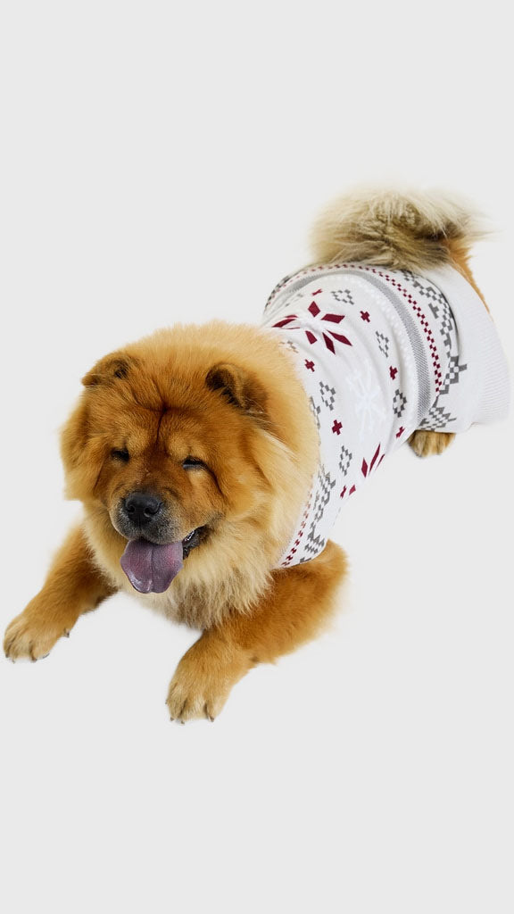 Den fancy hundejulesweater