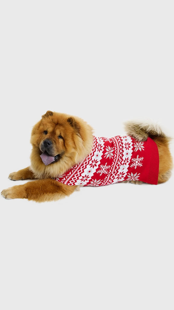 Den cute hundejulesweater