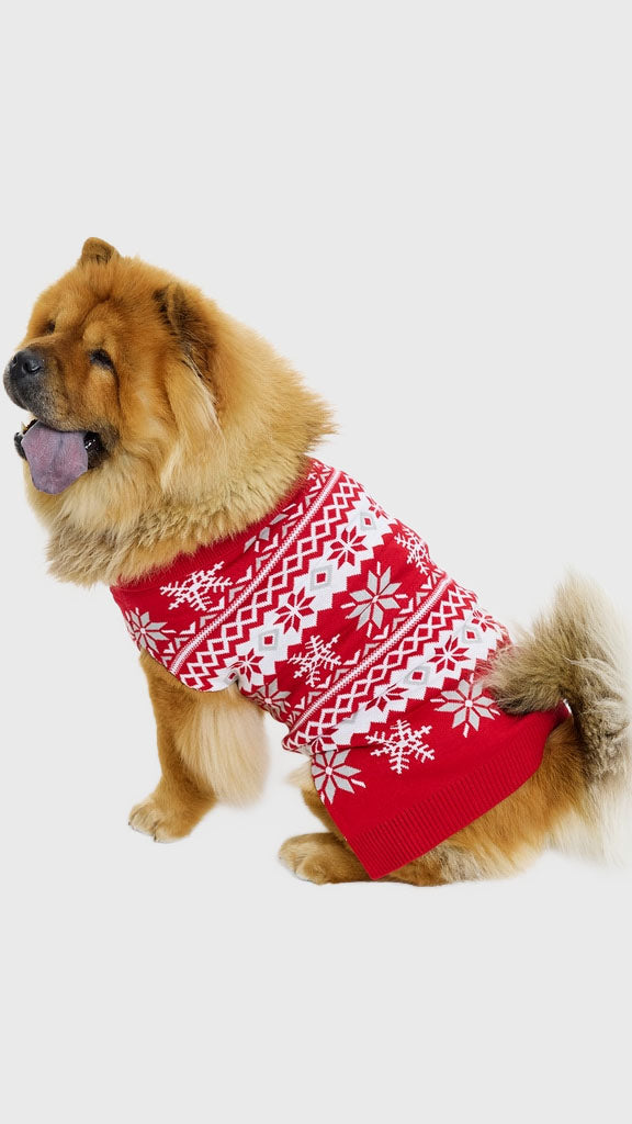 Den cute hundejulesweater