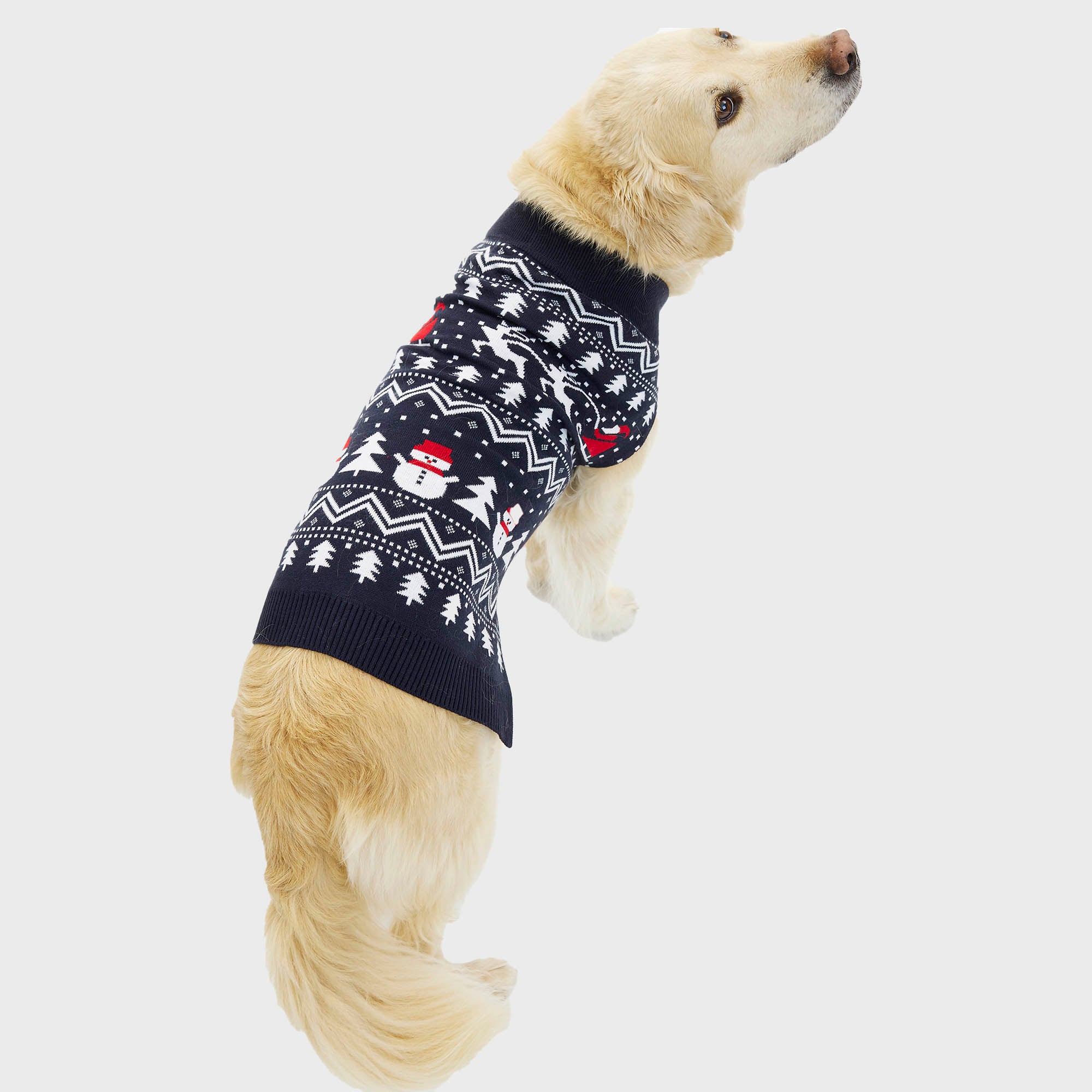 Den stilede hundejulesweater