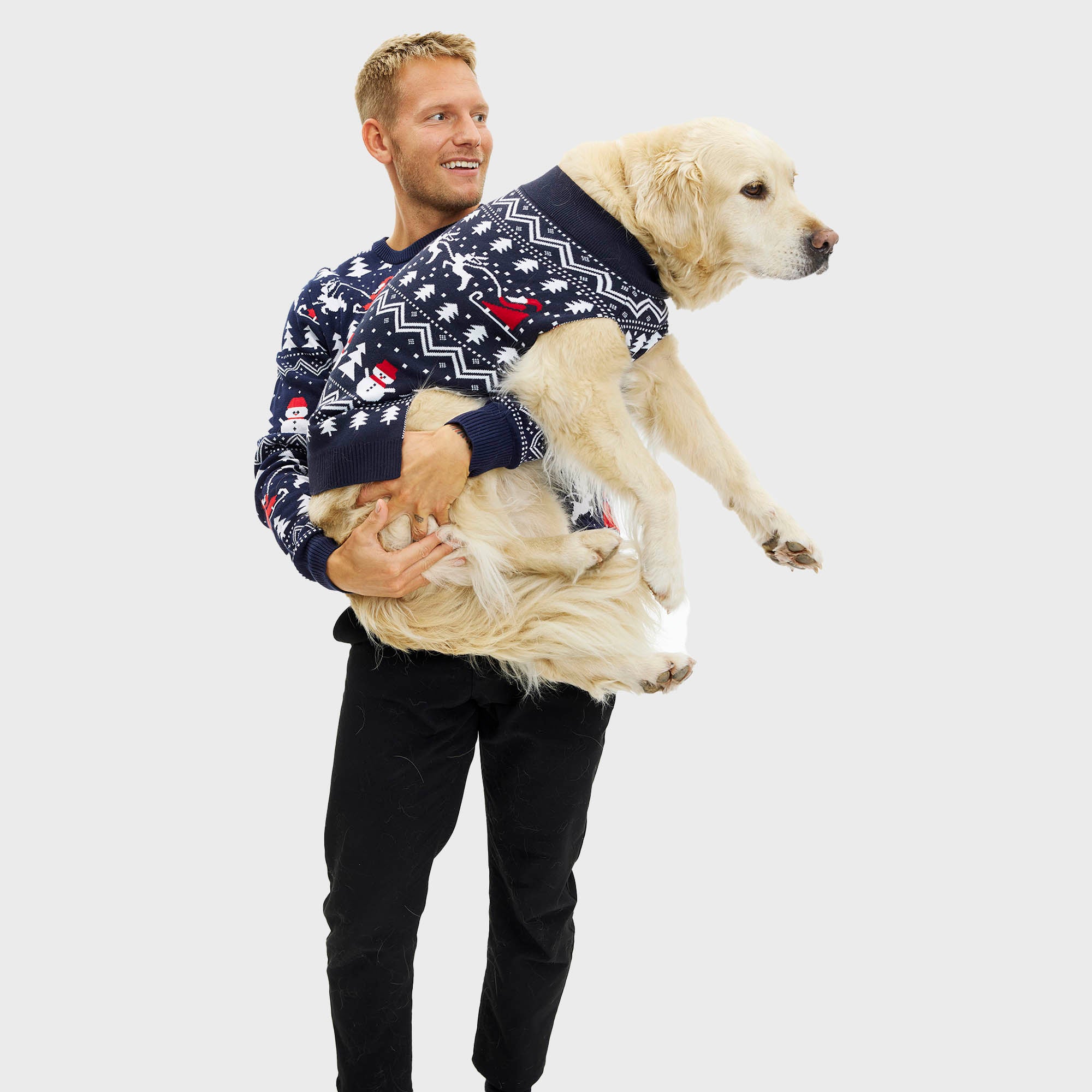 Den stilede hundejulesweater