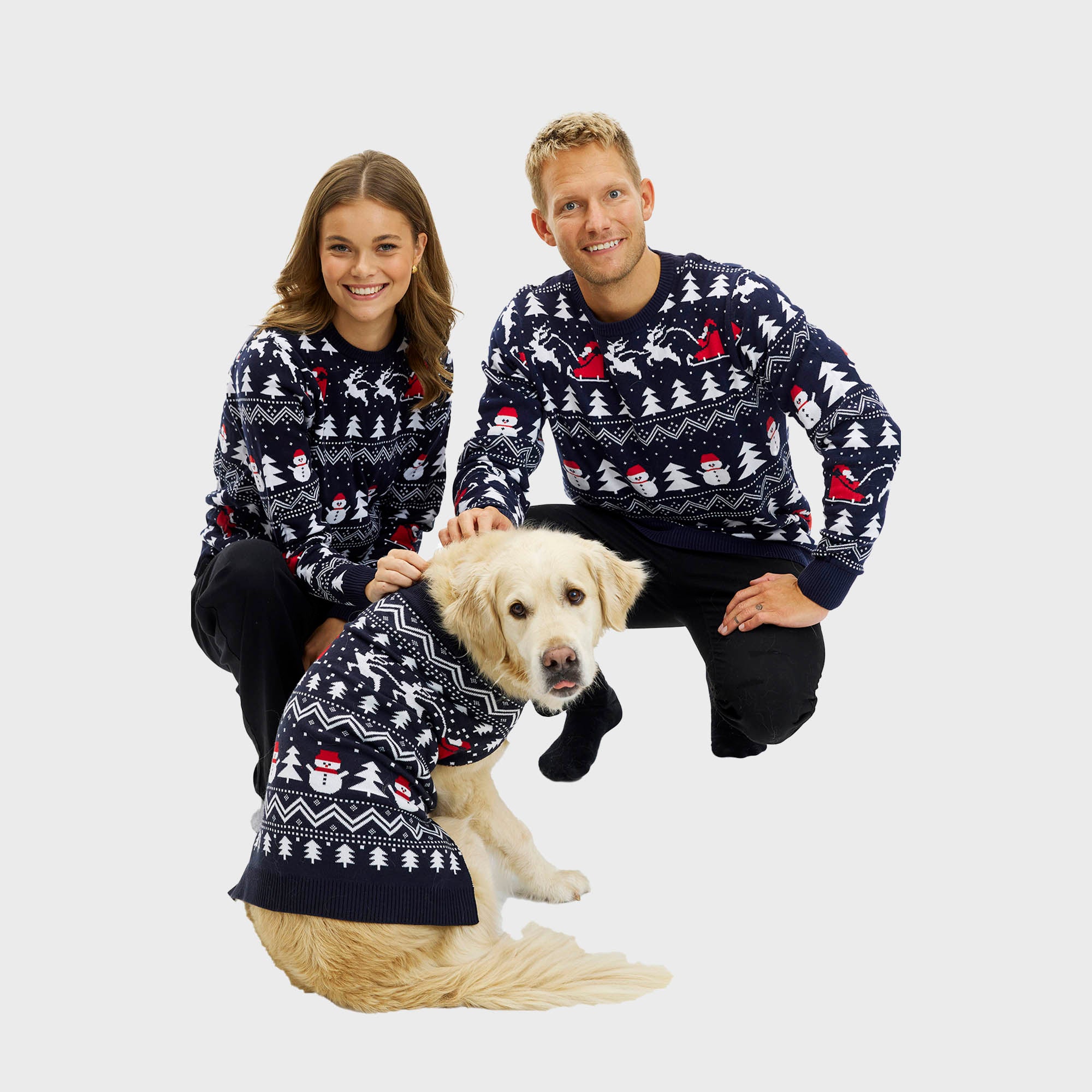 Den stilede hundejulesweater