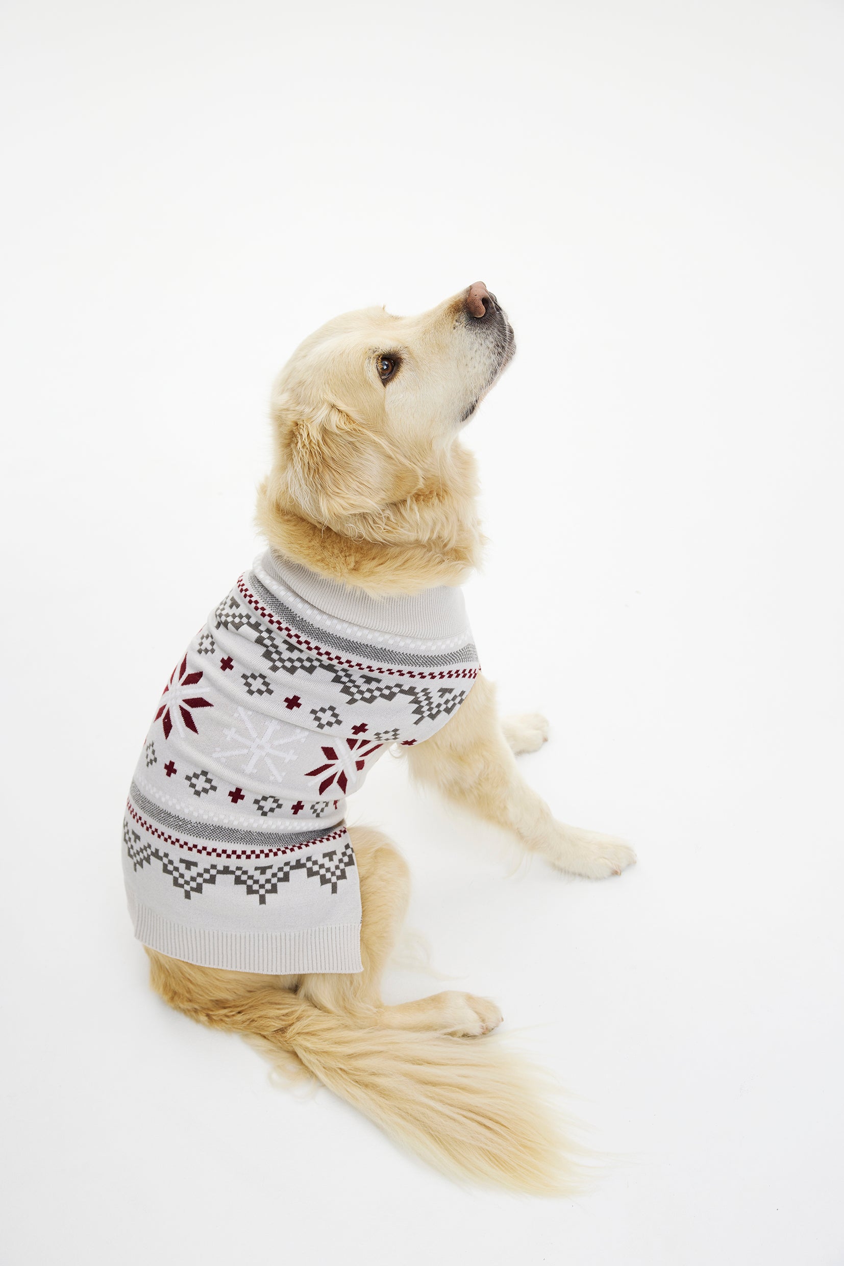 Den fancy hundejulesweater