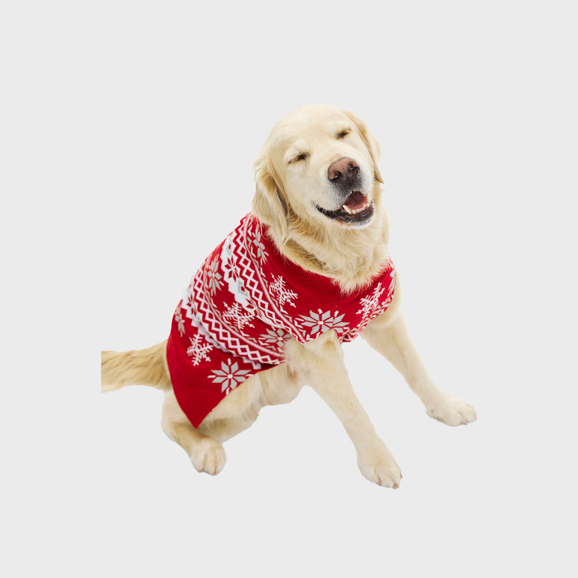 Den cute hundejulesweater