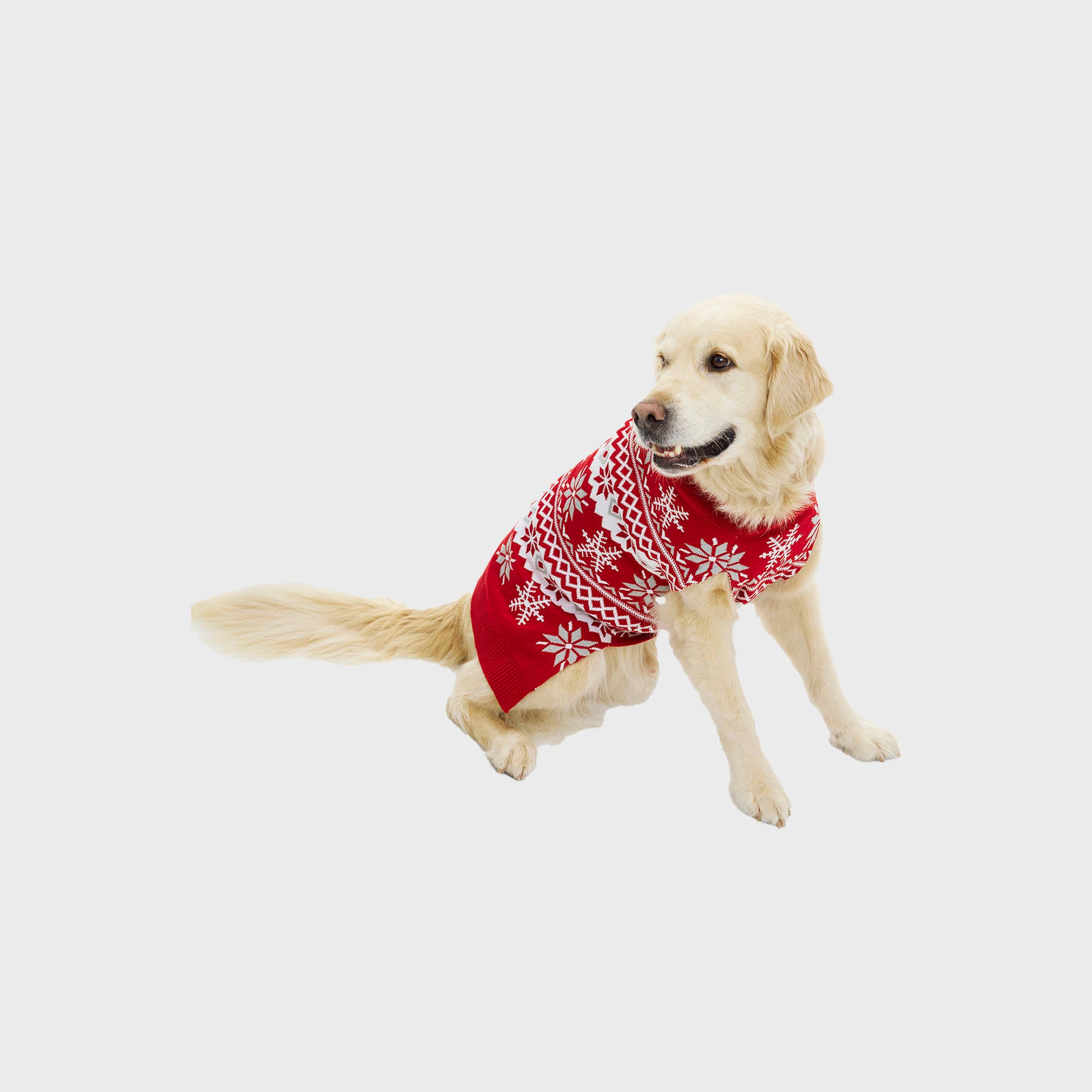 Den cute hundejulesweater