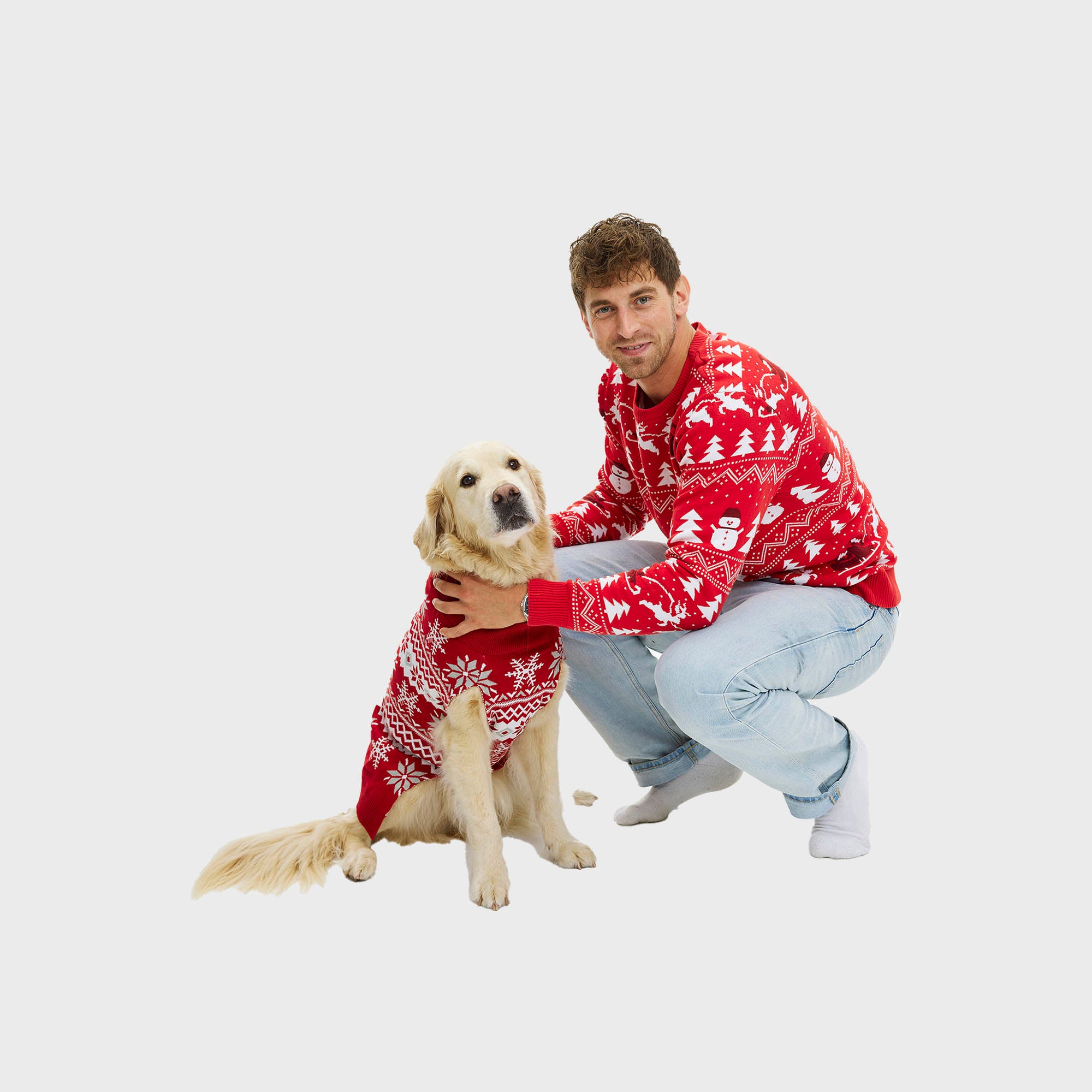 Den cute hundejulesweater